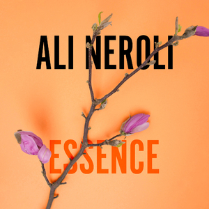 free性满足HD性BWW
