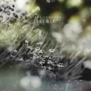 free性满足HD性BWW
